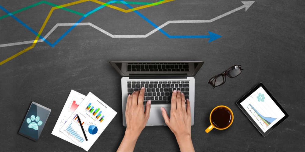 Raporty i analizy – dane o pracy lecznicy