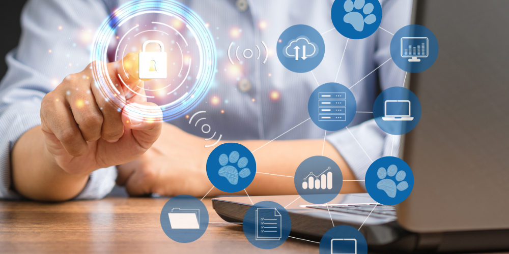 Bezpieczeństwo danych w Lecznicy 3000