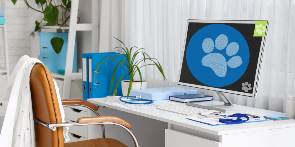 Wsparcie i aktualizacje – pomoc i rozwój systemu